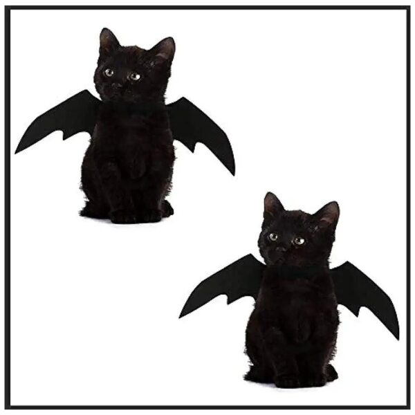 Pet Bat Wings Costume for Cats Medium Size Happy Halloween