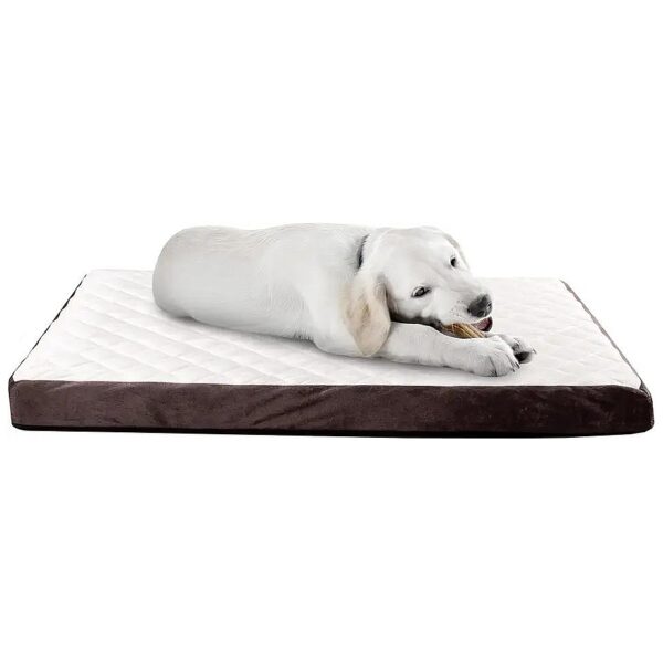 Pet Bed with Charcoal-Infused Foam and Plush Cover for Medium Size Dogs