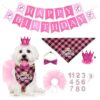 Pet Birthday Party Supplies Bandana Tutu Bow Tie Crown Numbers for Dog Lady Lady Dog Life