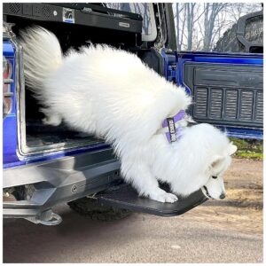 Pet Car Steps for Small to Extra Large Dogs with Durable Construction