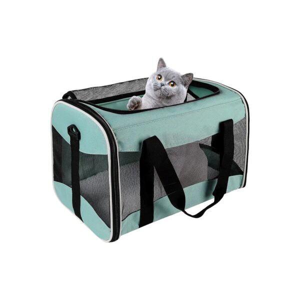 Pet Carrier for Cats, Small Dogs, and Medium Cats, with Airline Approved Dimensions