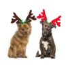 Pet Christmas Headwear with Soft Fabric and Reindeer Antlers for Small Dogs and Cats