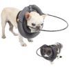 Pet Collar Harness for Blind Dogs and Cats with Confidence Building Technology