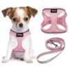 Pet Comfortable Soft Mesh Dog Harness and Leash Set for Small Medium Large Dogs Cats