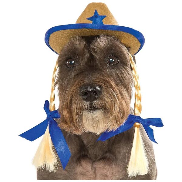 Pet Cowgirl Hat for Medium to Large Dogs with Pigtails and Blue Trim