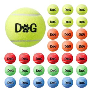 Pet Dog Tennis Ball Gift Set with 30 Pieces and Carry Bag for Begginer Dogs