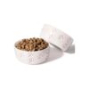 Pet Friendly Ceramic Dog Food Bowls for Small Dogs, 5 x 2 inch, Set of 2