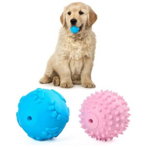 Pet Friendly Squeaky Ball Toys for Small Dogs and Puppies