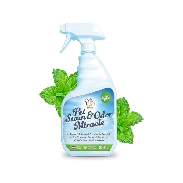 Pet-Friendly Stain and Odor Eliminator for Carpets, Upholstery, and Furniture