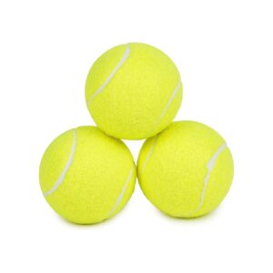 Pet Friendly Tennis Balls for Medium Large Dogs Puppy Training Games