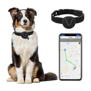 Pet GPS Tracker with Activity Monitor for Cats and Dogs Using GPS Technology