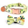 Pet Gift Collar for Small Medium Large Dogs with Comfortable Cotton and Metal Buckle