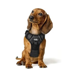 Pet Harness for Medium Dogs with Comfortable Soft Padded Vest and Breathable Nylon Fabric