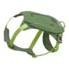 Pet Harness with Backpack for Short Hiking Trips with Your Medium Size Dog