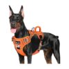 Pet Harness with Heavy Duty Material and No Pull Design for Large and Small Dogs