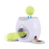 Pet Interactive Ball Launcher, Multi-Purpose Toy for Fun and Healthy Exercise