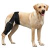 Pet Knee Support for Large Dogs with Cruciate Ligament Injury