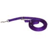 Pet Lead for Walking Training and Tie Out 3/4-Inch Wide Nylon