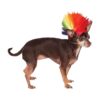 Pet Mohawk Wig in Vibrant Rainbow Colors for Dogs