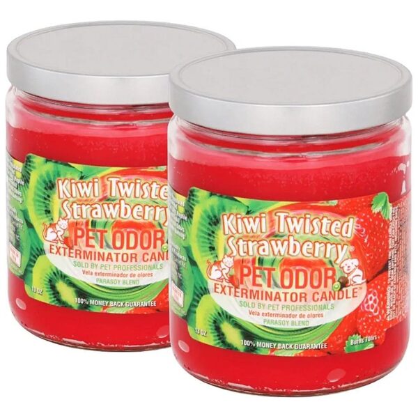 Pet Odor Destroying Candle Kiwi Twisted Strawberry Strawberry Scented 13 Ounces