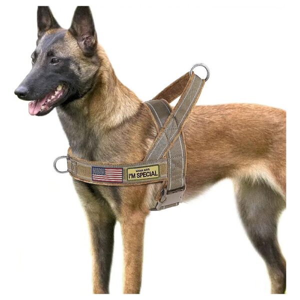 Pet Owner Essentials Soft Flannel No Pull Dog Harness for Medium Large Breed