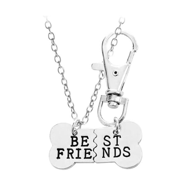 Pet Owner Gift Ideas Best Friend Dog Bone Necklace Keychain Jewelry Set