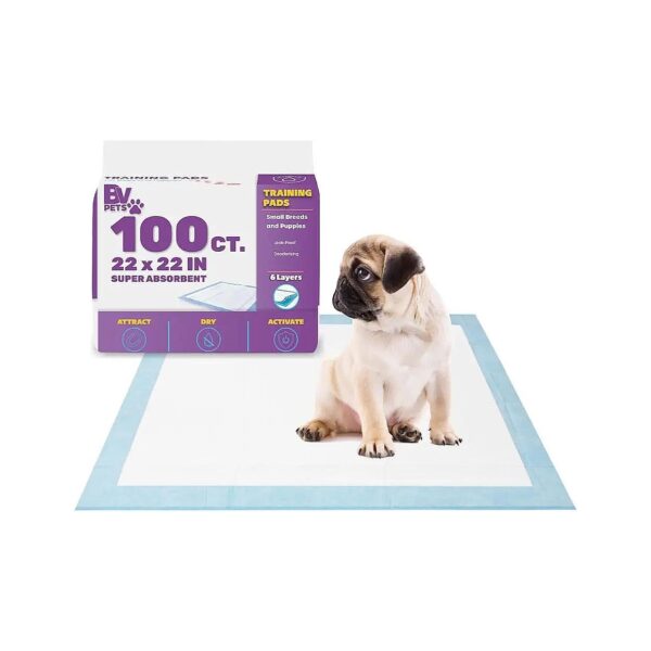 Pet Pee Pads for Dogs, 100 Pack, Heavy-Duty Absorbency, Leak-Proof, Easy to Use