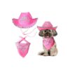 Pet Pink Cowboy Hat Costume Accessory Set with Crown Tiara for Cat Puppy Daily Wearing