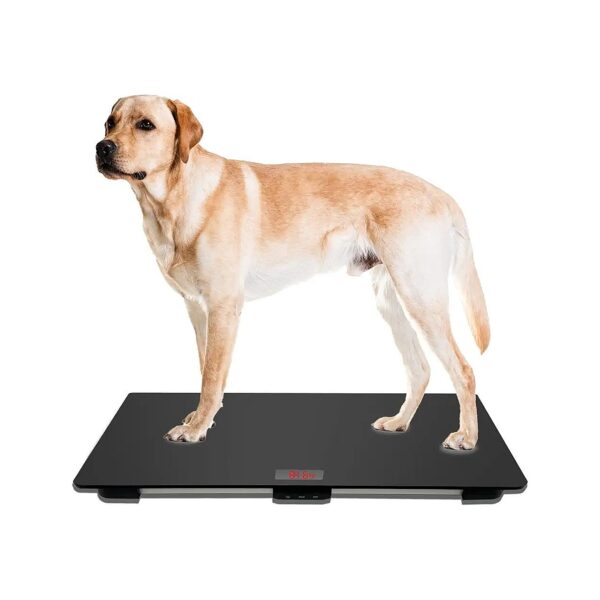 Pet Scale for Large Dogs Weighs up to 220 Pounds with Tare and Hold Functions