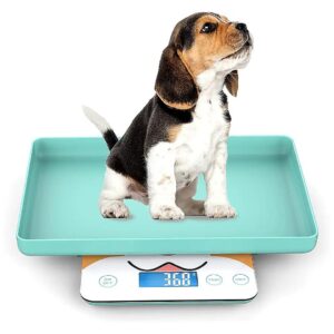 Pet Scale for Newborn Puppies and Kittens with Tray for Accurate Weighing