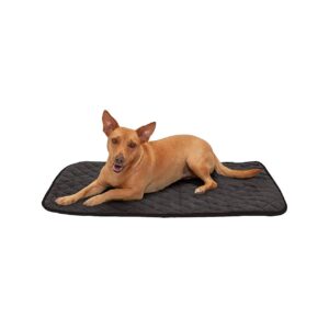 Pet Self-Warming Quilted Velvet Blanket Mat, 24x36, Medium, Espresso, Machine Washable