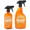 Pet Stain and Odor Remover for Carpets and Furniture