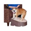 Pet Stair and Ramp Combo with Easy Assembly No Tools Required