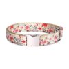 Pet Supplies Floral Cat Collar with Buckle Closure for Cats and Small Dogs