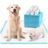 Pet Training Pads for Dogs Cats Rabbits and Small Animals