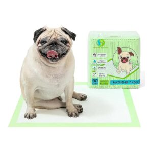 Pet Training Pads with Attractant Built-In for Easy Potty Training 50 Count