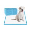 Pet Training Pads with Quick Dry Technology, 22x22 Pads for Puppies, Doggies, and Cats