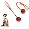 Pet Training Toy Kit with Rubber Dog Balls and Cotton Rope for Chewing and Pulling