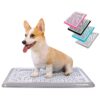 Pet Training Tray for Small and Medium Dogs Indoor Wee Purposeful Design Gray