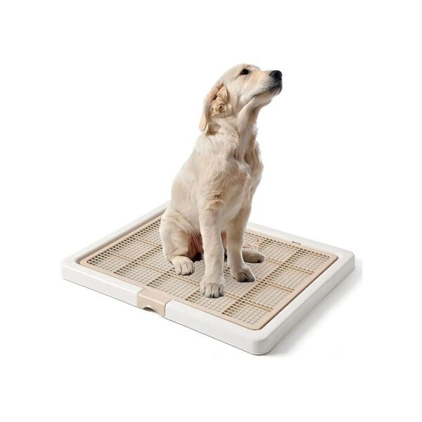 Pet Training Tray with Adjustable and Secure Design for Small to Large Dogs