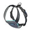 Pet Travel Harness Medium Size for Safe and Secure Dog Transport in Car