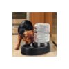 Pet Water Drinking Fountain Automatic Electric Bubbling Bowl