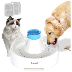 Pet Water Fountain for Small to Medium Pets