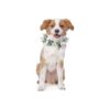 Pet Wedding Attire White Fresh Flower Dog Collar With Adjustable Neck Fit