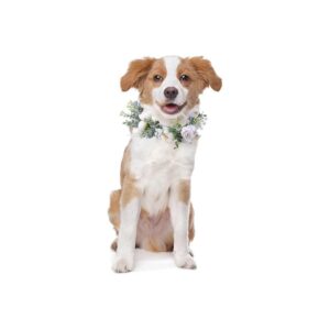 Pet Wedding Attire White Fresh Flower Dog Collar With Adjustable Neck Fit