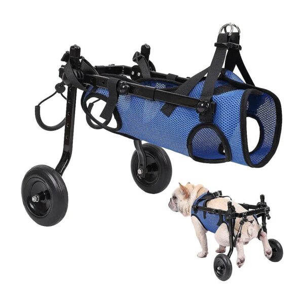 Pet Wheelchair for Small Dogs with Rear Leg Support and Adjustable Width