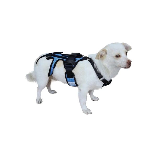 Pet XS Dog Back Support Harness for Small Breeds IVDD and Spinal Recovery