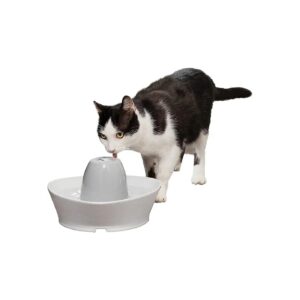 PetSafe Ceramic Fountain for Cats and Small Dogs with Daily Hydration and Fresh Water