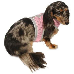 Petite Dog Harness with Lightweight Mesh and Velcro Closure for Teacup and Small Breeds