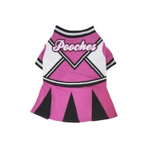 Petitebella Cheerleader Medium Size Dog Costume with Classic Design